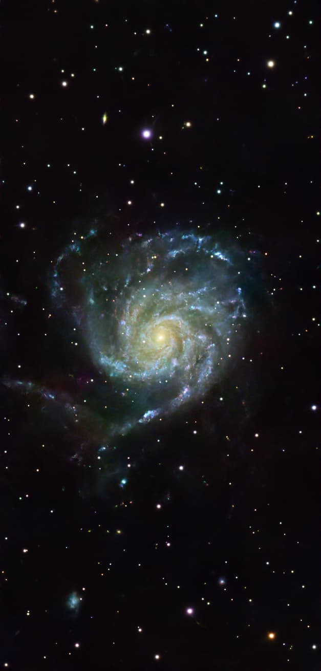 M101